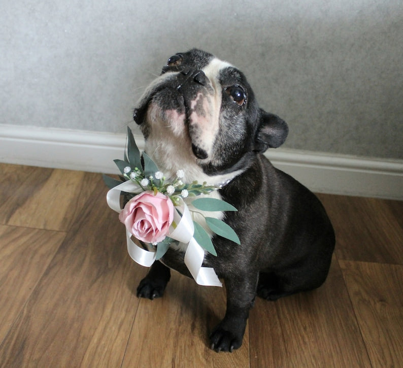 Floral Dog Collar Accessories