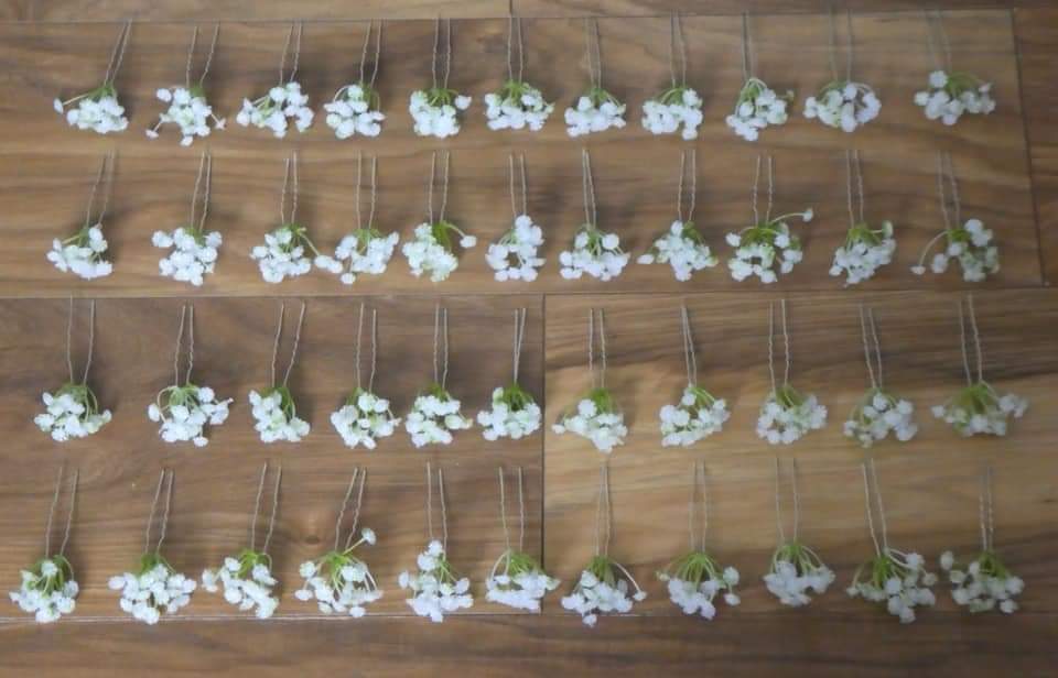The Gypsophilia hair grips