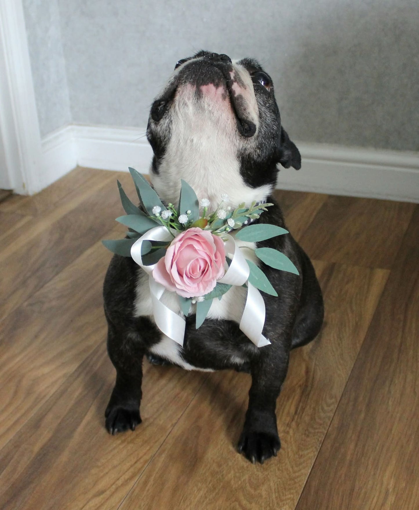 The Stephanie Dog Collar Corsage