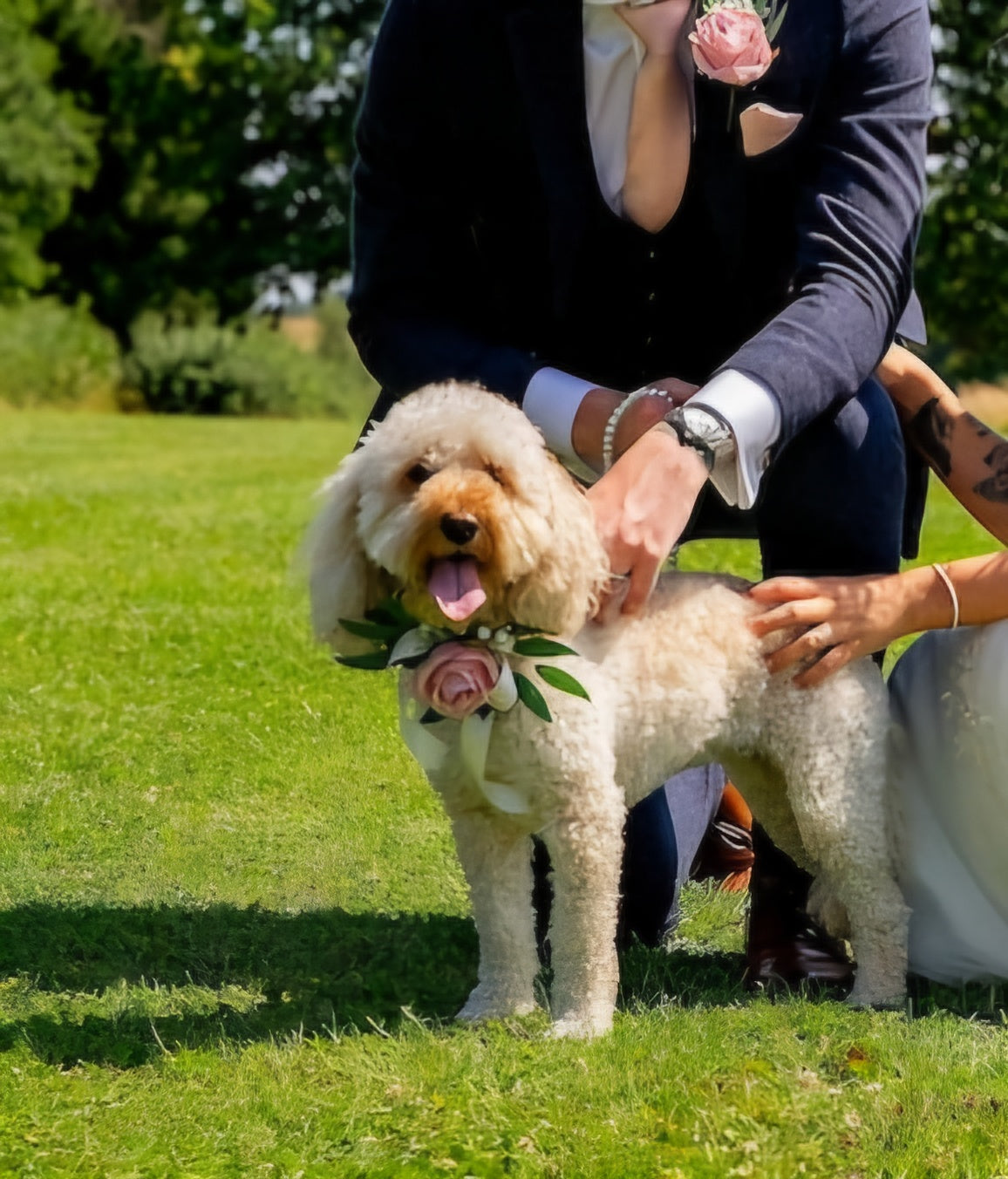 The Stephanie Dog Collar Corsage